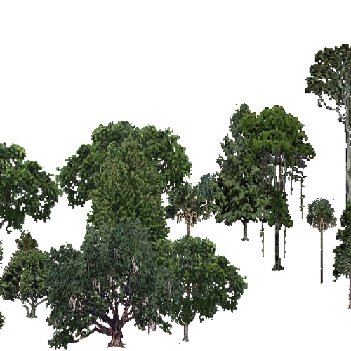Screenshot of USA Forest, Everglades, Evergreen Dense